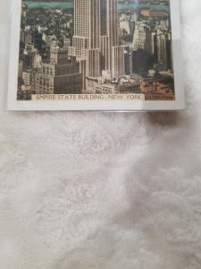 Antique Postcard, Empire State Building, New York