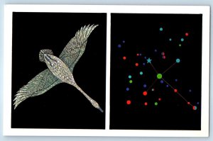 Cygnus The Swan High Overhead Milky Way Constellation Joel Izartt Postcard