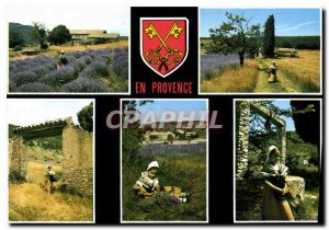 Postcard Modern Provence Les Belles Images of Provence