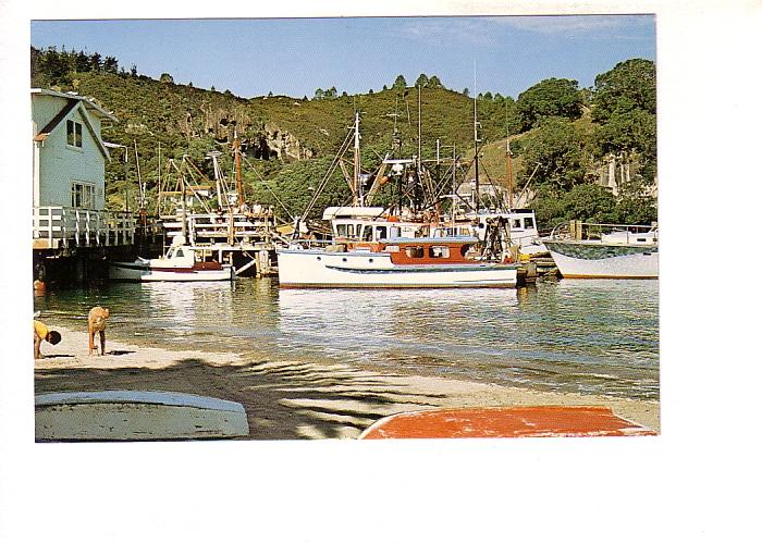 Fisherman's Wharf, Whitianga, Coromandel Peninsula,, New Zealand,