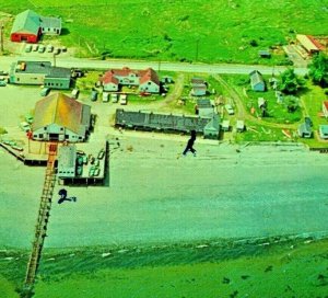 Aerial View Erickson's Resort Hansville Washington WA UNP 1950s Chrome Postcard