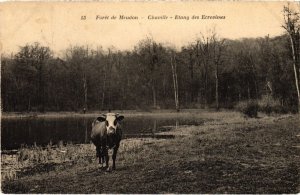 CPA CHAVILLE Foret de Meudon - Etang des Ecrevisses (1322972)