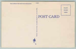 Sunshine State Florida~Busy Persons Correspondence~1940s Linen Postcard