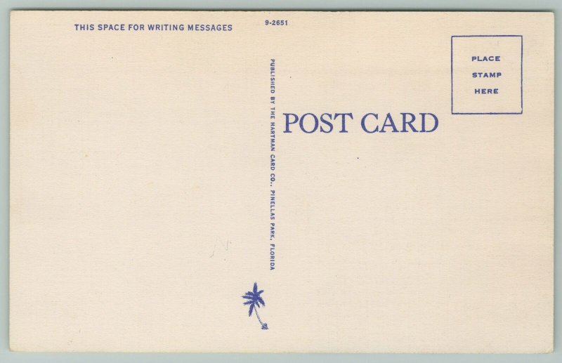 Sunshine State Florida~Busy Persons Correspondence~1940s Linen Postcard