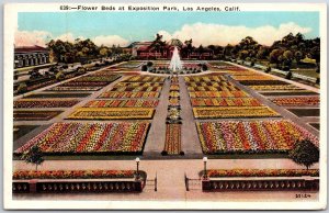 1928 Flower Beds At Exposition Park Los Angeles California CA Posted Postcard