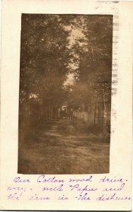 RPPC Cottonwood Tree Drive, Lexington NE c1911 Vintage Postcard N34