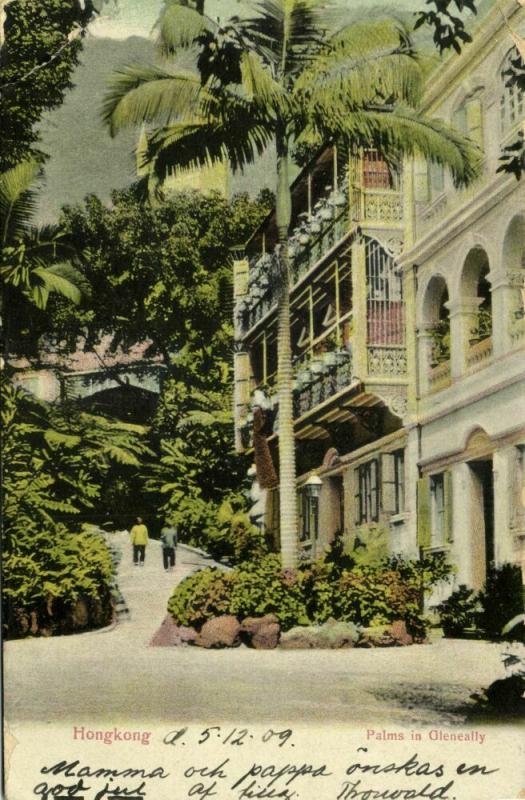 china, HONG KONG, Palms in Gleneally (1909) Postcard