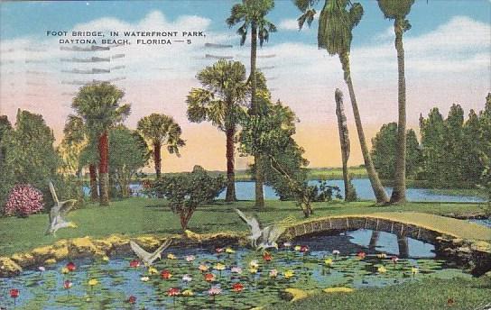 Florida Daytona Beach Foot Bridge In Waterfront Park 1954