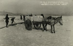 china, Yalu Amrok River, Manchuria, Ice Block Transport Donkey (1930s) Postcard