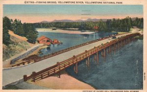 Vintage Postcard 1951 Fishing Bridge Yellowstone River National Park Wyoming WY