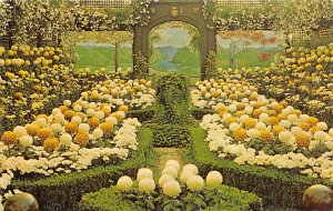 Fall Flower Show Phipps Conservatory Pittsburgh, Pennsylvania USA View Postca...