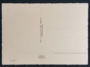 GERMAN EMPIRE THIRD 3rd REICH PROPAGANDA - ADOLF HITLER REICH FUHRER