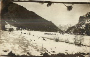 Homestead Oregon OR 1920 Real Photo Postcard