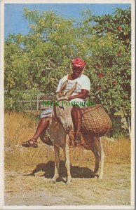 Jamaica Postcard - Donkey, Going To Market, British West Indies RS36666