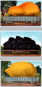 3 Exaggeration Postcards PEAR, BLACKBERRIES, LEMON Mitchell 1910 Railroad Cars