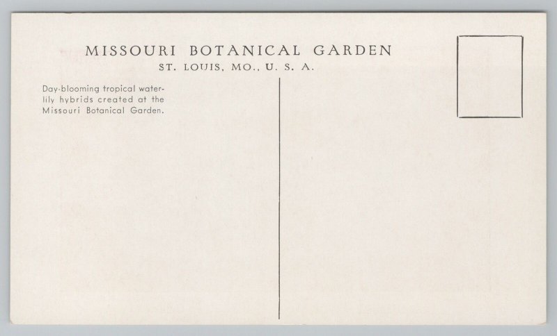 St Louis Missouri~Bagdad & Celeste Flowers Botanical Gardens~Vintage Postcard