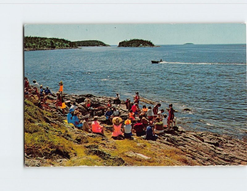 Postcard People Coast Seascape Scenery