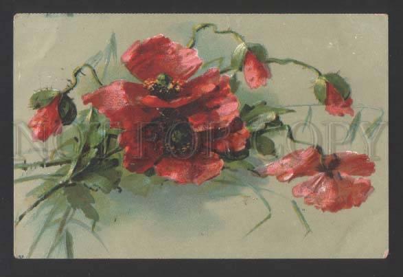 118307 POPPY Flowers Bouquet by C. KLEIN vintage Colorful PC