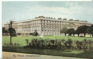 Middlesex Postcard - The Palace - Hampton Court  ZZ736