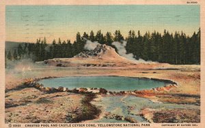 Vintage Postcard 1940's Crested Pool Castle Geyser Cone Yellowstone Nat'l Park