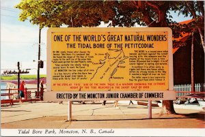 Tidal Bore of Petitcodiac Park Moncton NB New Brunswick Unused Postcard F59