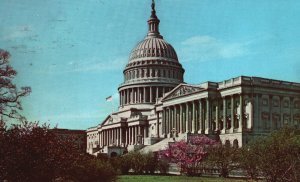 Postcard The United States Capitol Spacious Grounds Crest Of Hill Washington DC