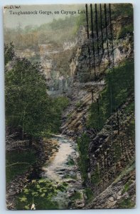 1906 Ithaca New York NY Vintage Postcard Taughannock Gorge Cayuga Lake Mountain