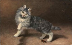 Fluffy Gray Kitty Cat with Beetle Bug Insect G.A. Novelty Art c1910 Postcard