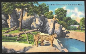 Tiger Exhibit Zoological Park Detroit Michigan Unused c1940s