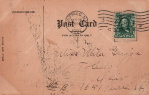 It's Nice to Have a Home Comic BIN