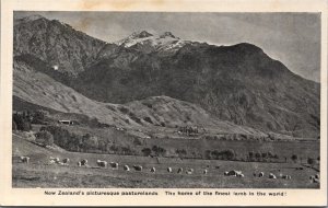 New Zealand New Zealand's Famous Pasturelands Sheep Postcard 09.92 