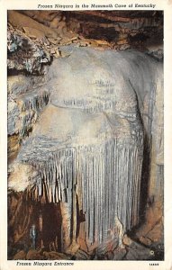 Frozen Niagara Entrance Mammoth Cave, Kentucky 