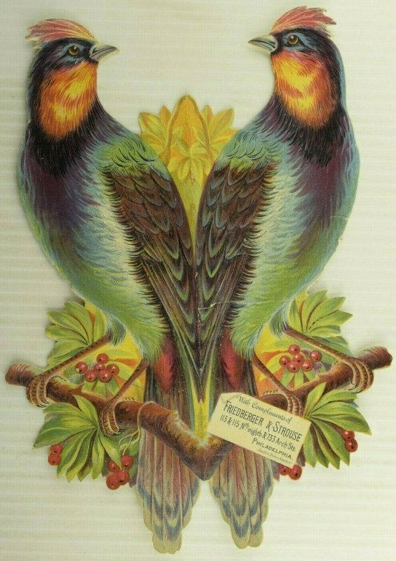 1880's Die-Cut Colorful Birds Parrots Friedberger & Strouse Fab! 7R