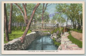 Hagerstown Maryland~Rustic Footbridge Over Stonewalled City Park Mill Race 1916 