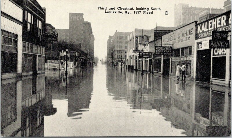 Louisville KY~3rd & Chestnut Streets~Mitchell & White Used Car Dealer~1937 Flood 