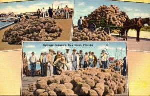 Florida Key West Scenes Of The Sponge Industry 1940