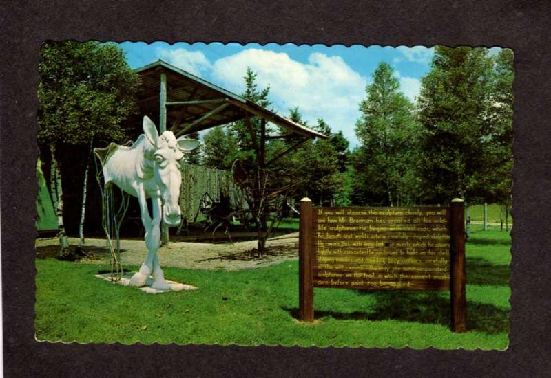 NB Amusement Park Bronnum ANIMALAND Zoo Sussex New Brunswick CANADA Postcard