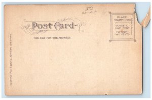 c1905 Upper State St. Lorraine Block Stores Schenectady New York NY Postcard