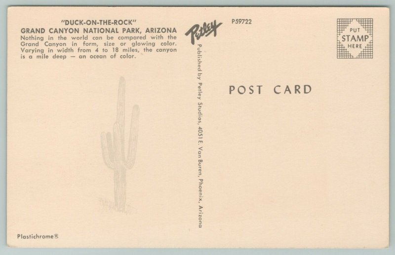 Arizona~~Vintage Postcard