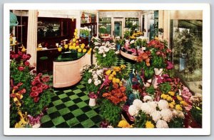 Interior~Chicago Illinois~Edgewater Beach Hotel Flower Shop~Vintage Postcard