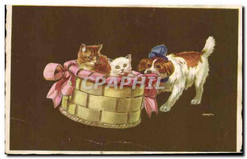 Old Postcard Cat Kitten Cats China