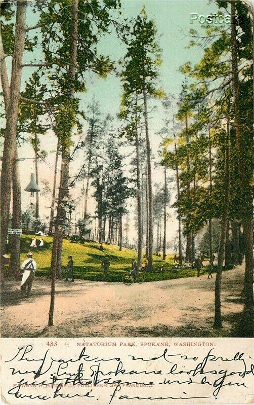 WA, Spokane, Washington,  Natatorium Park, Edward H. Mitchell No. 483