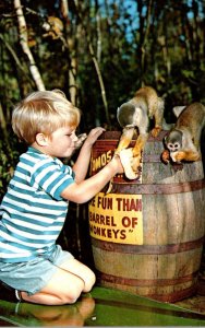 Florida Homosassa Springs More Fun Than A Barrel Of Monkeys