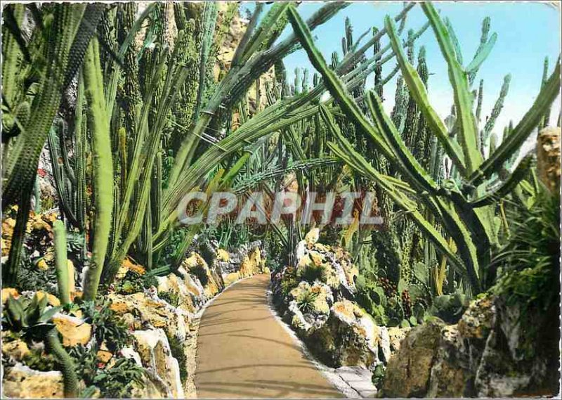 Modern Postcard The French Riviera Monaco Monte Carlo The Exotic Garden