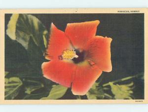 Unused Linen HIBISCUS FLOWER State of Hawaii HI Q9038