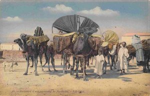 Nomad Camel Caravan Bassours d'une caravanne de Nomades 1911 postcard