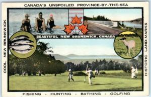 BEAUTIFUL NEW BRUNSWICK, CANADA  Fishing Hunting Bathing Golfing  Postcard