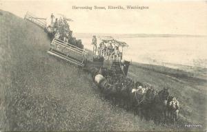 c1910 Farming agriculture Machinery Harvesting Scene Ritzville Washington 107