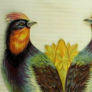 1880's Die-Cut Colorful Birds Parrots Friedberger & Strouse Fab! 7R