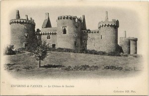 CPA Env. de VANNES - La Chateau de Suscinie (33156)